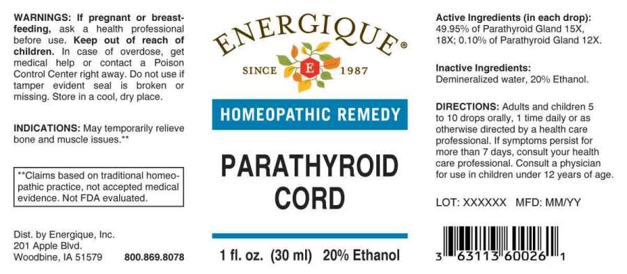 Parathyroid Cord