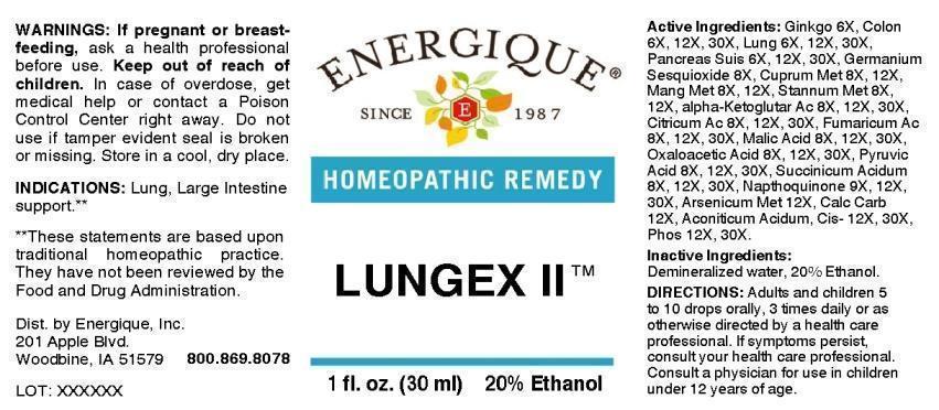 Lungex II