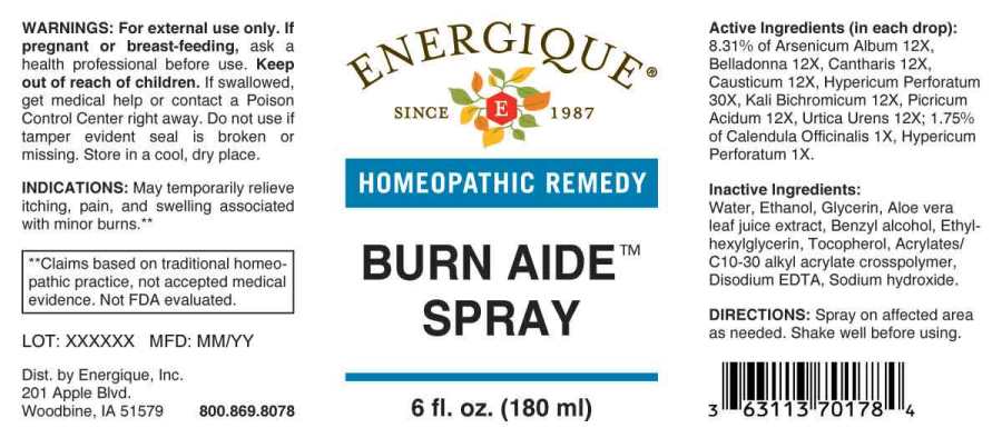 Burn Aide Spray