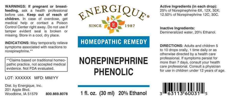 Norepinephrine Phenolic
