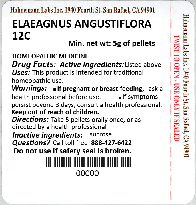 Elaeagnus Angustiflora 12C 5g