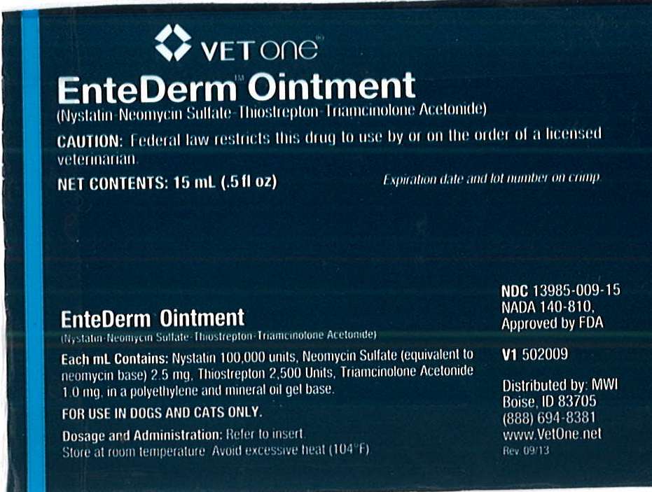 EnteDerm Ointment 15 mL