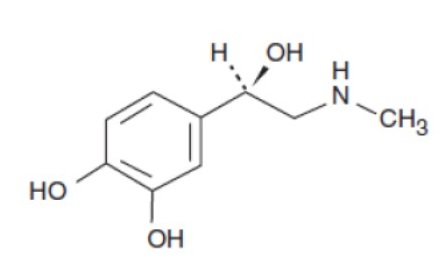 Epinephrine Molecule