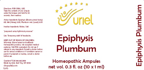 Epiphysis Plumbum Ampules