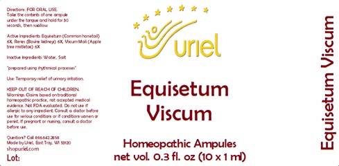 Equisetum Viscum Ampules