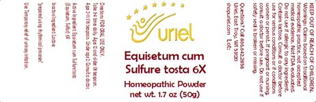 Equisetum cum Sulfure tosta 6X Powder