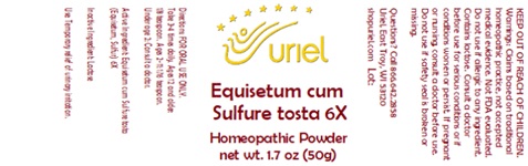 Equisetum cum Sulfure tosta 6X Powder