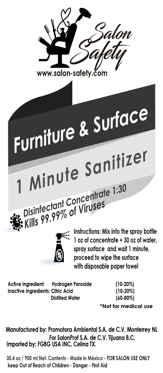 furniture & Surface 1 Minute Concentrate