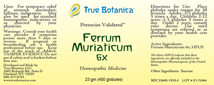 Ferrum Muriaticum 6X