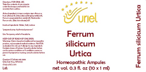 Ferrum silicicum Ampules