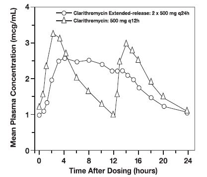 Figure 2: Steady-State Clarithromycin Plasma Concentration—Time Profiles