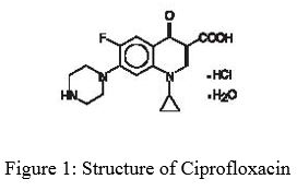 ciprofloxacin chemical diagram