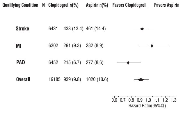 Figure 8: Hazard Ratio and 95% CI by Baseline Subgroups in the CAPRIE Study