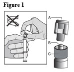 Step 5, Figure 1