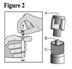 Step 6, Figure 2