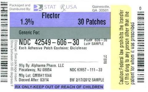 Flector Patch Label Image