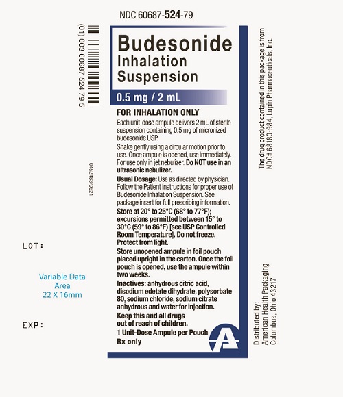 0.5 mg/2 mL Budesonide Inhalation Suspension Pouch