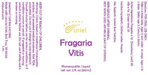 Fragaria Vitis Liquid