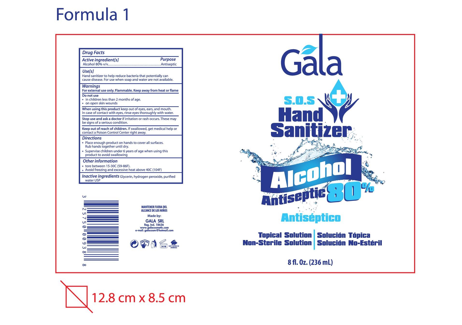 Gala Hand Sanitizer Alcohol 80 %