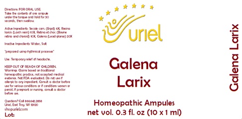 Galena Larix Ampules