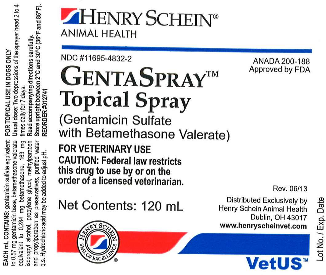 GentaSpray Topical Spray 120 mL