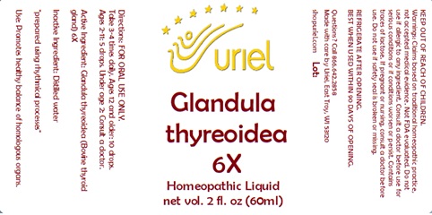 Glandula Thyreoidea 6X Liquid