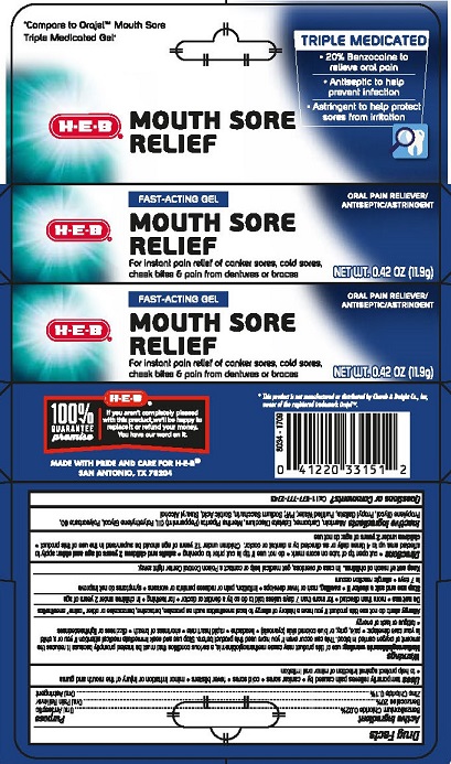 HEB MOUTH SORE GEL 2821343-1R2