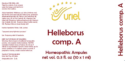 Helleborus comp. A Ampules