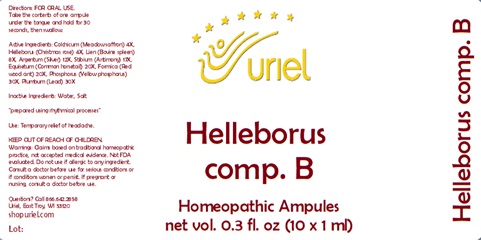 Helleborus comp. B Ampules