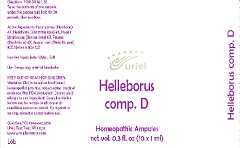 Helleborus comp. D. 