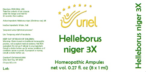 Helleborus niger 3X Ampules