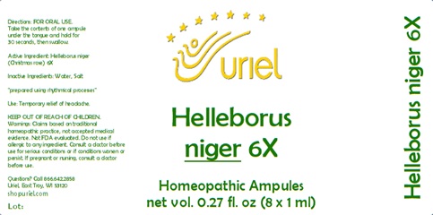 Helleborus niger 6X Ampules
