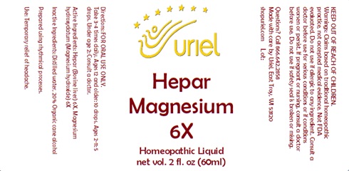 Hepar Magnesium 6X Liquid