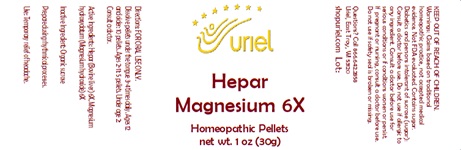 Hepar Magnesium 6X Pellets