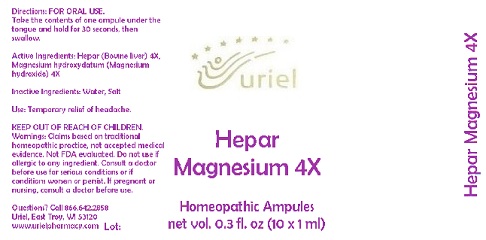 HeparMagnesium4Ampules