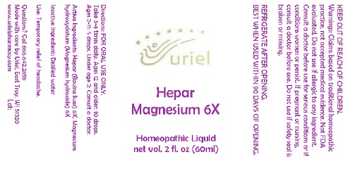 HeparMagnesium6Liquid