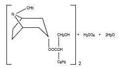 Molecular Structure of Hyoscyamine sulfate