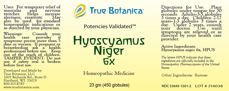 Hyoscyamus Niger 6X