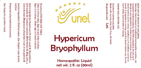 Hypericum Bryophyllum Liquid