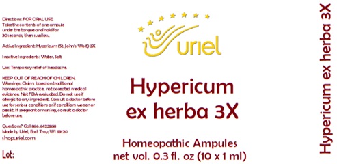 Hypericum ex herba 3X Ampules