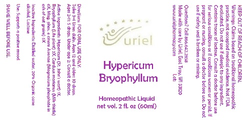 HypericumBryophyllumLiquid