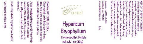 HypericumBryophyllumPellets
