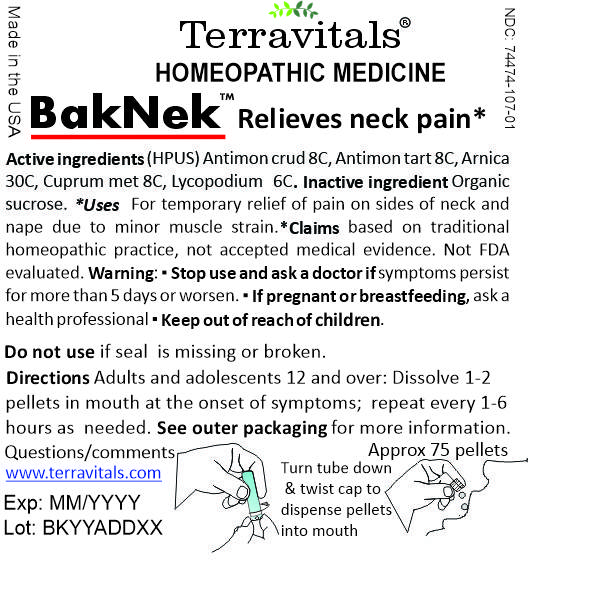Internal Label BakNek