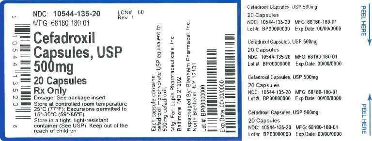 Cefadroxil Capsules USP, 500 mg-20Pack