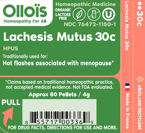 LACHESIS MUTUS 30c P1