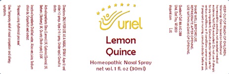 Lemon Quince Nasal Spray