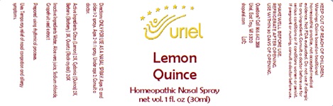 Lemon Quince