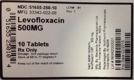 Levofloxacin 51655-250