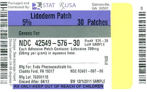 Lidoderm Patch Label Image