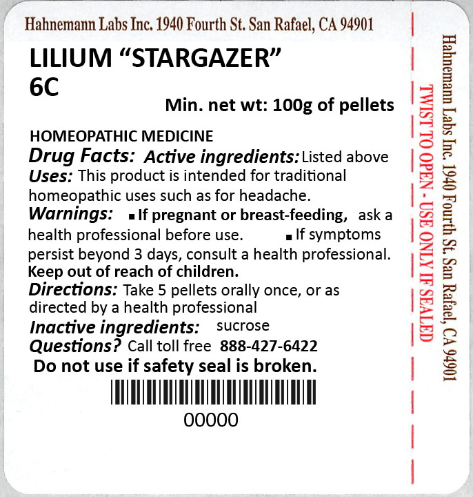 Lilium Stargazer 6C 100g